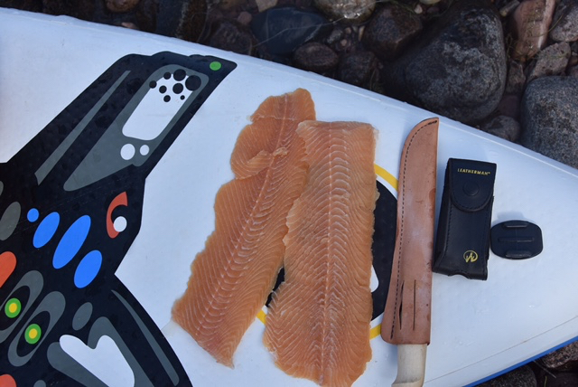 Lake Trout shore lunch